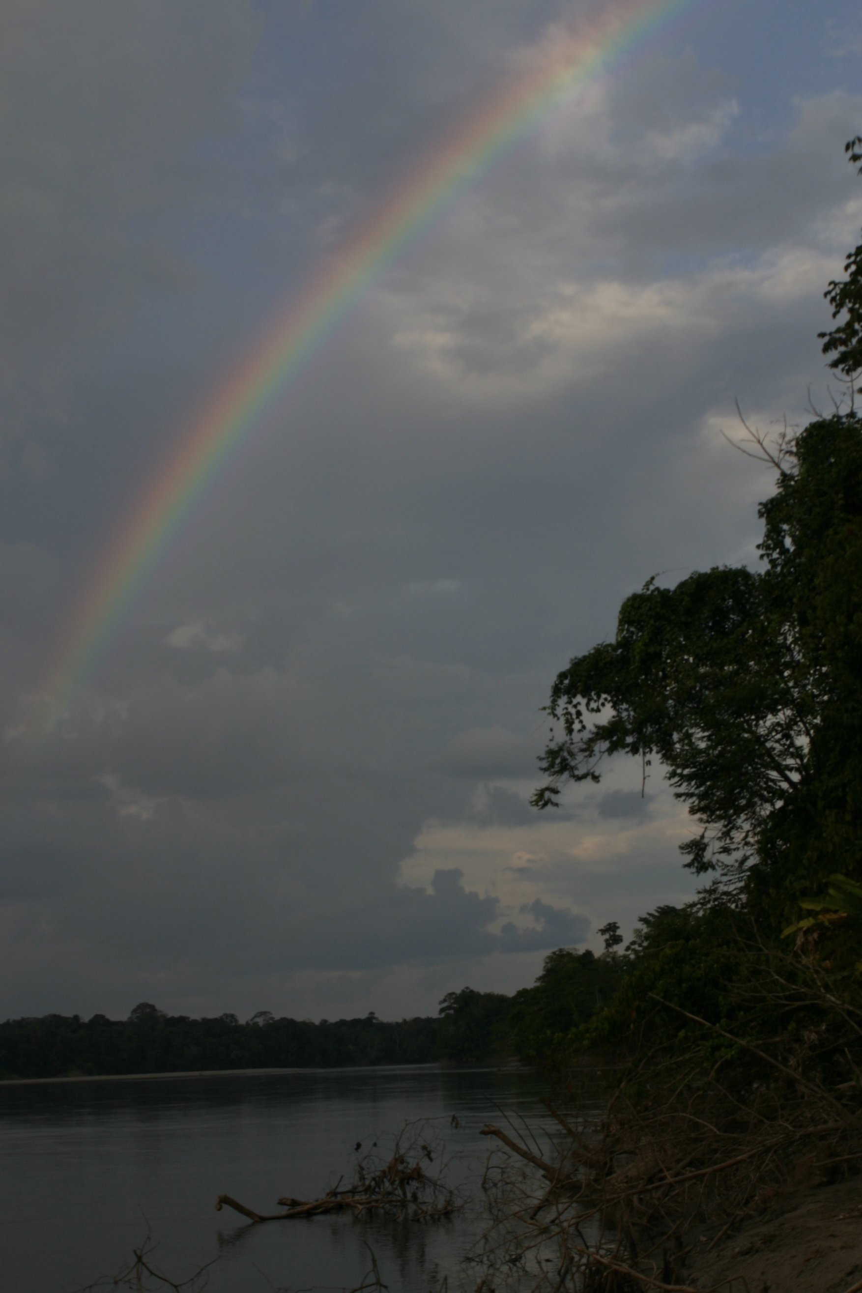 Renewable energy sector can make positive contributions to UN SDGs by respecting human rights – report.