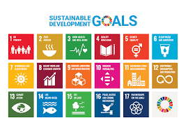 Mapping the Renewable Energy Sector to the Sustainable Development Goals