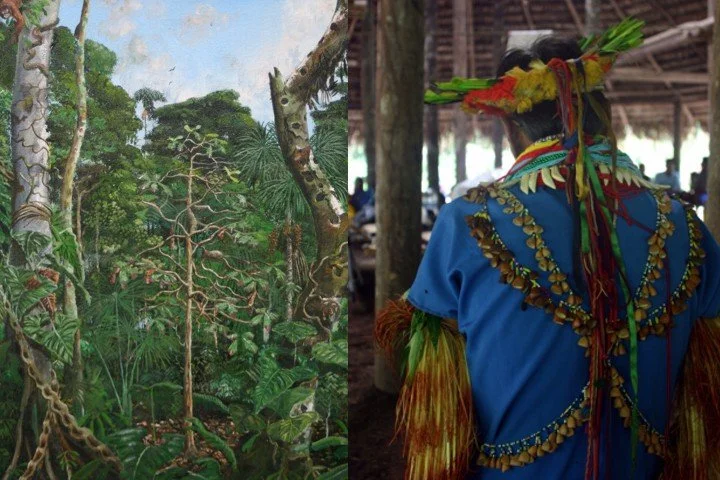 Enabling Free, Prior and Informed Consent through Voluntary Standards