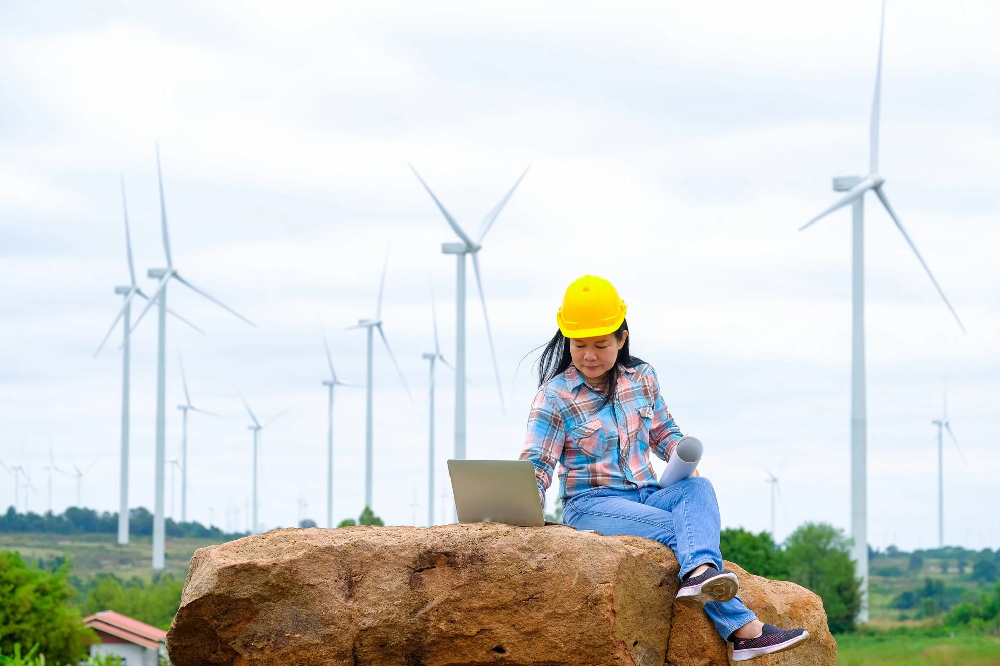 EO100™ Certification Withdrawal Notice