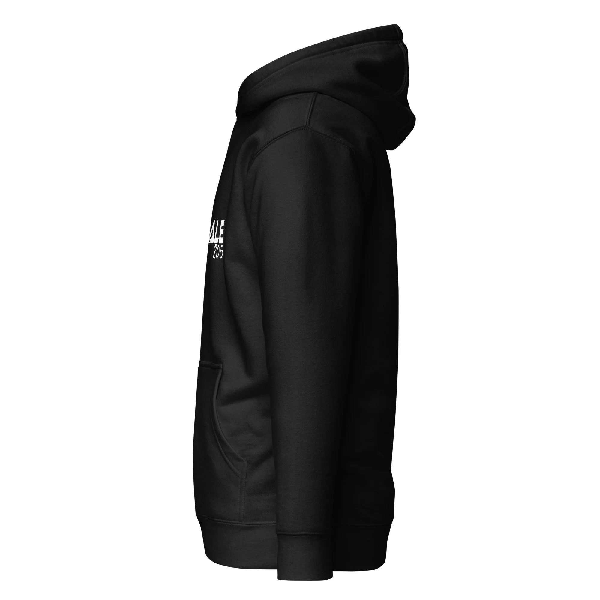 unisex-premium-hoodie-black-left-67e0621c7c7a7.jpg
