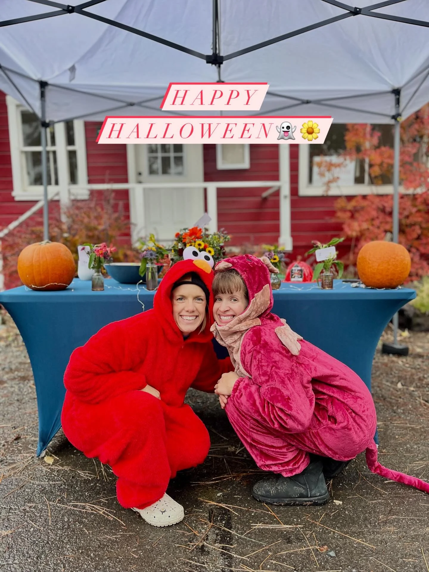 🎃🌼 Happy Halloween from Marigold Blooms!
We had the best time at the Graeagle Trick-or-Treat &mdash; so many adorable costumes and smiling faces! 🧡👻
We&rsquo;re open until 3PM today &mdash; stop by for a festive fall bouquet to make your day a li
