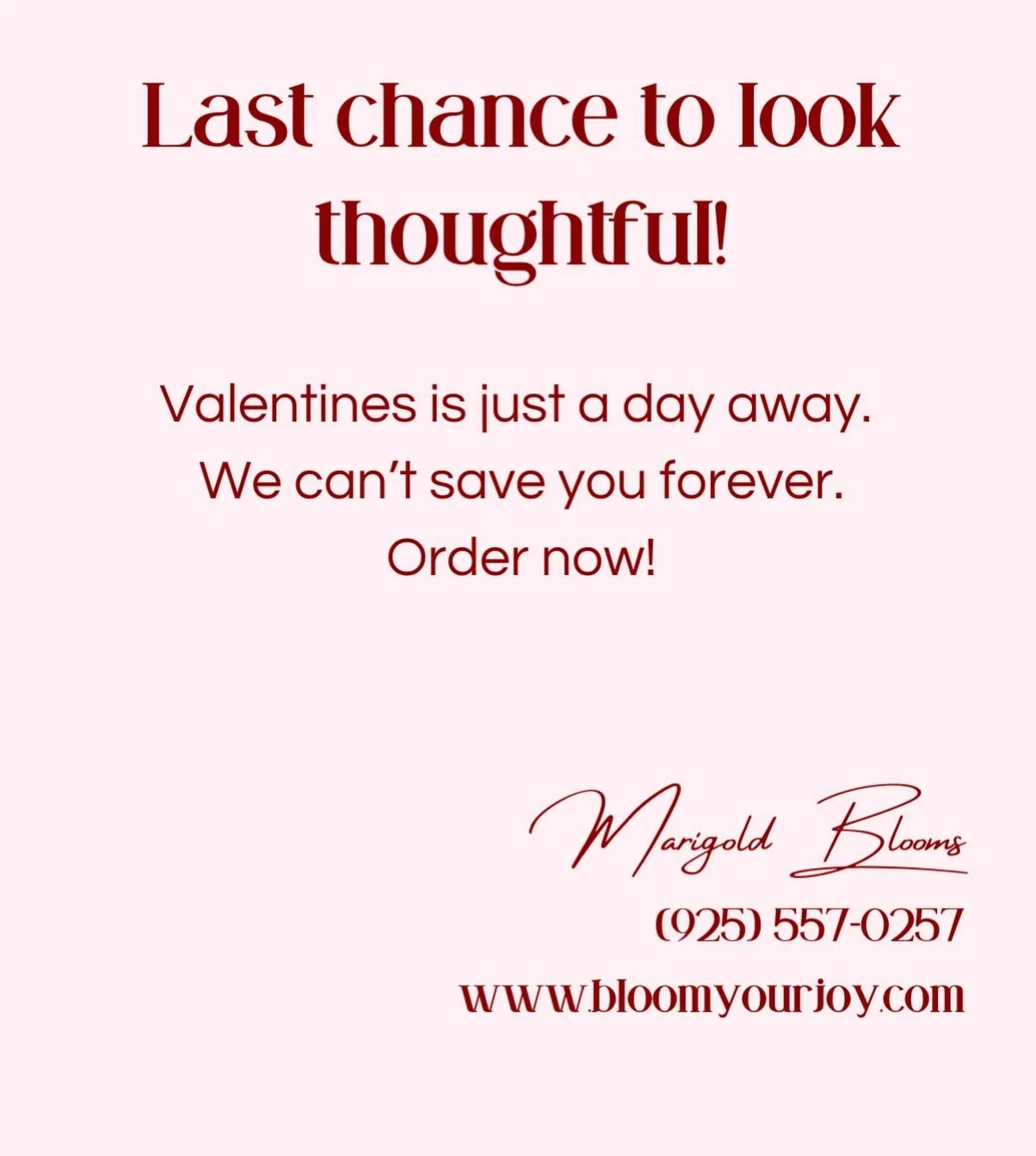 You&rsquo;ve still got time. Barely. Order now! #graeagle #bloomyourjoy #marigoldblooms #quincy #portola