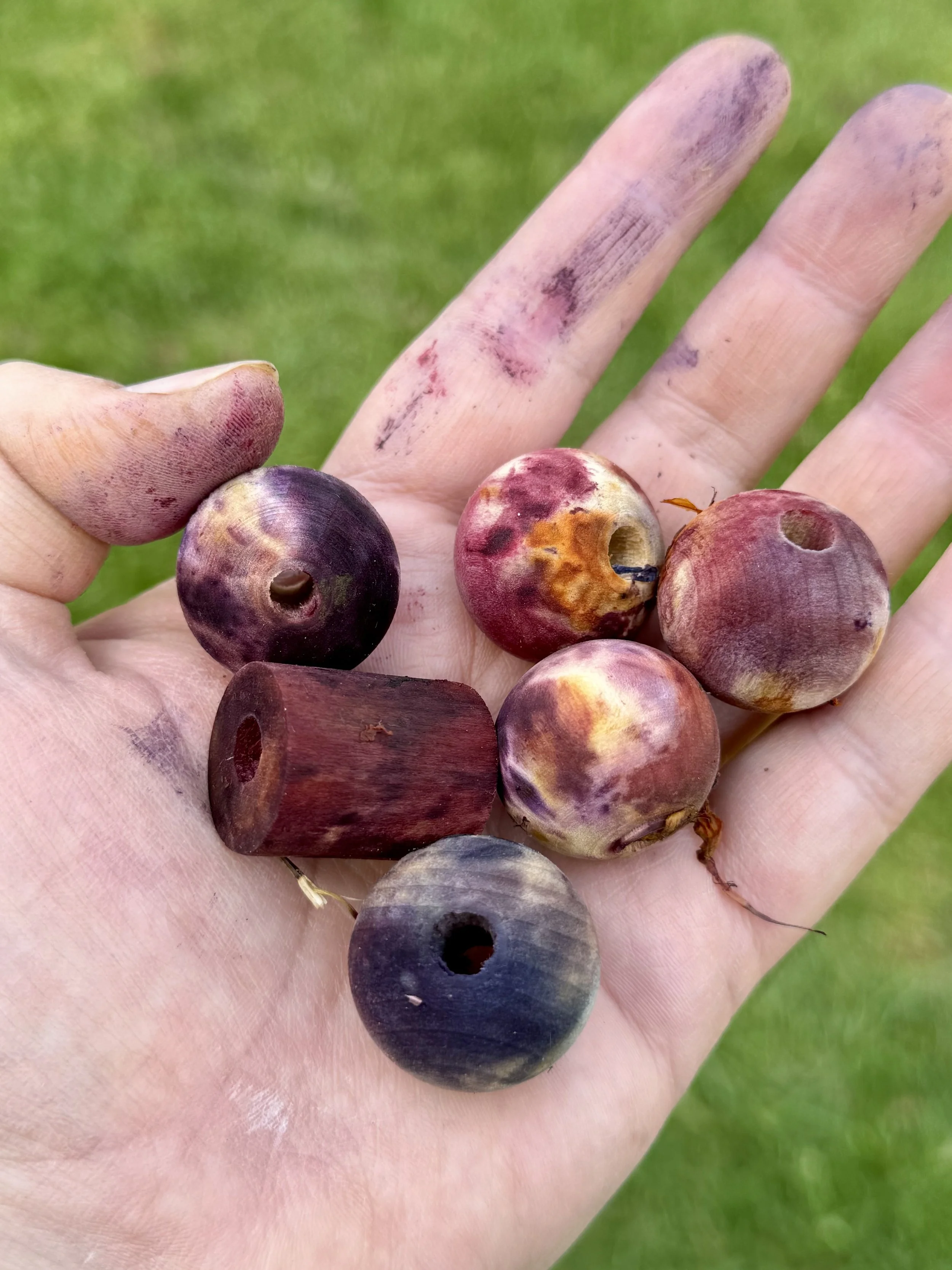 Natural Dyeing: Wood Beads