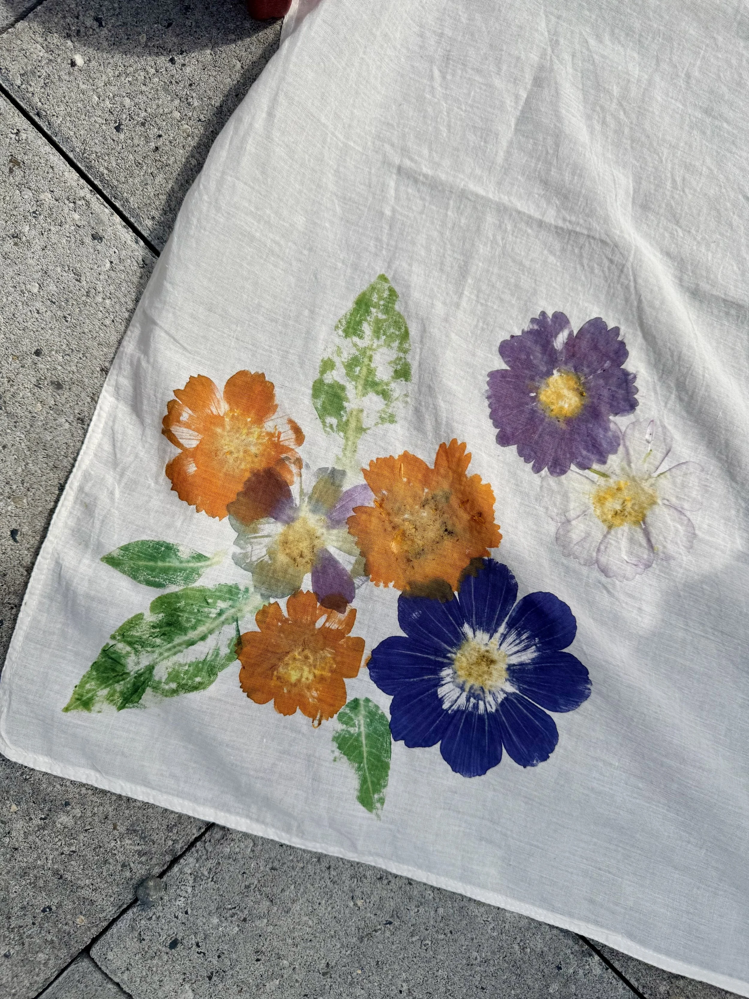 Tataki zomé at Wardwell Farm