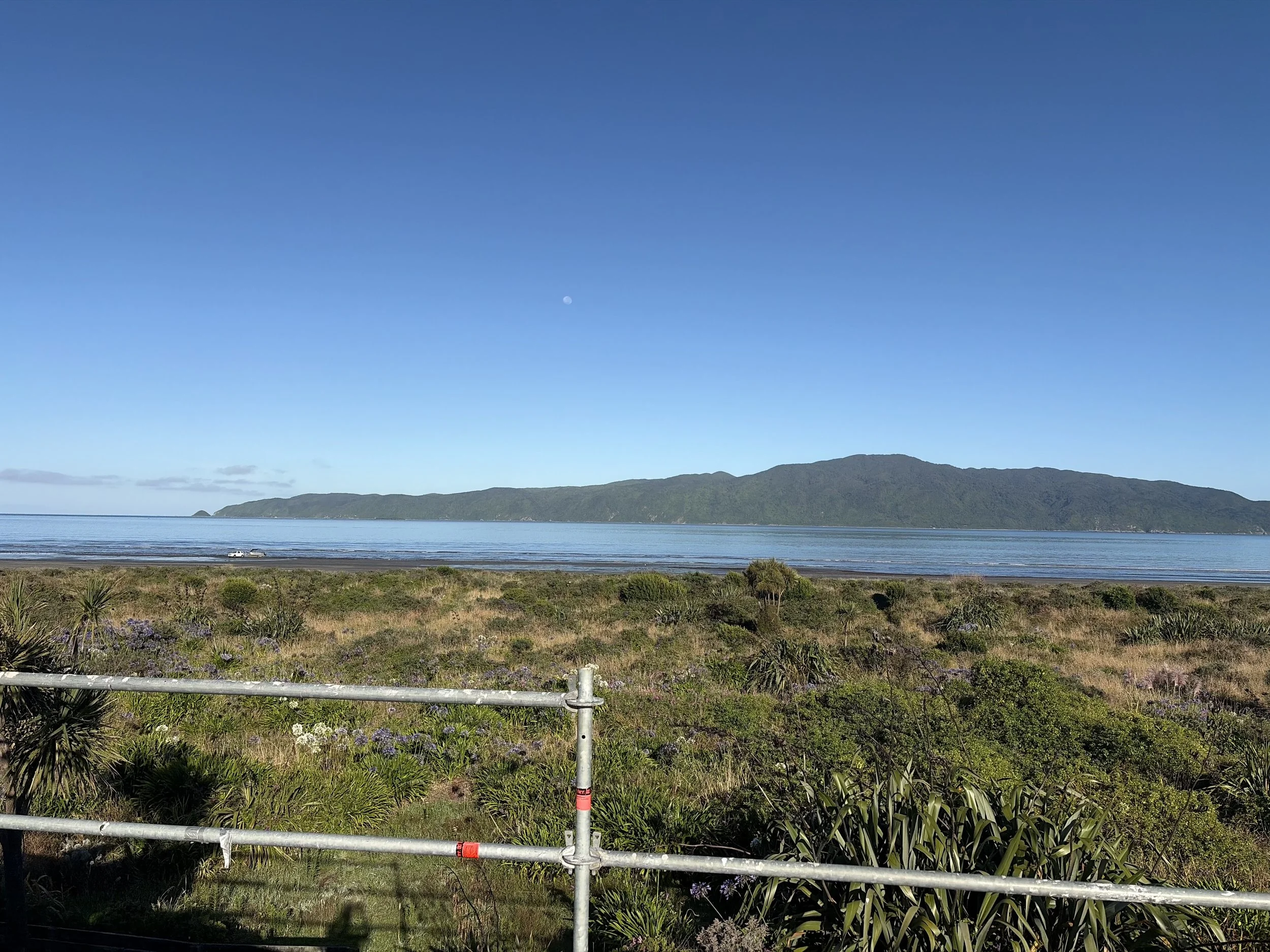 View of a coastal landscape with a mountain in the distance, a calm body of water, and a grassy foreground with plants and a metal railing.