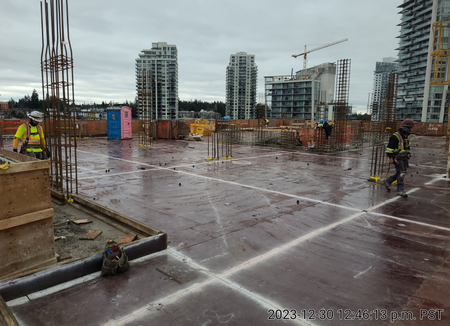 Alina - Coquitlam by New-Firmus Contracting BC Inc.