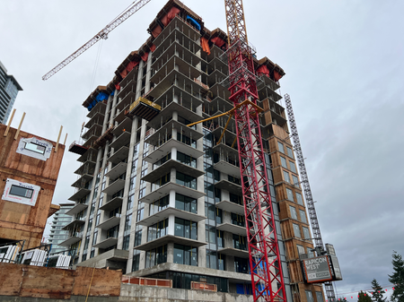 Alina - Coquitlam by New-Firmus Contracting BC Inc.