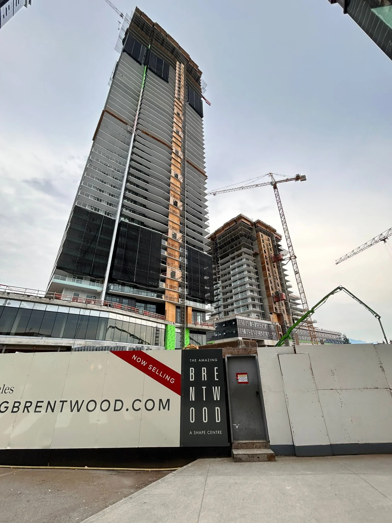 The Amazing Brentwood by New-Firmus