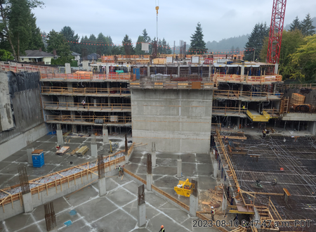 Alina - Coquitlam by New-Firmus Contracting BC Inc.