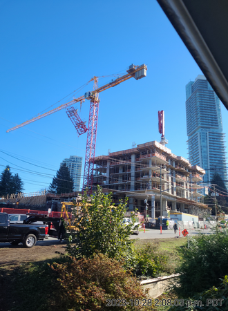 Alina - Coquitlam by New-Firmus Contracting BC Inc.