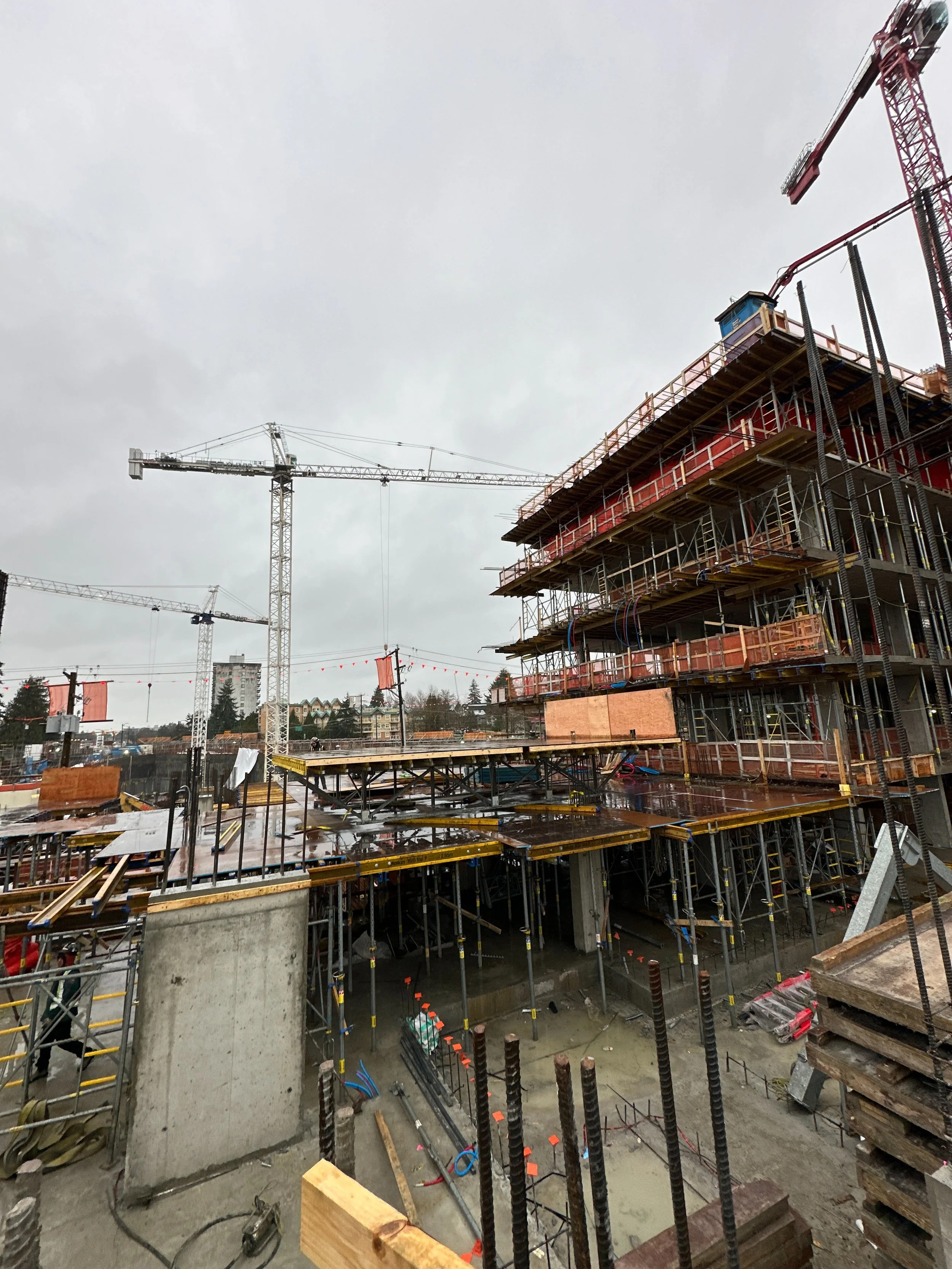 Ashley Mar - Vancouver by New-Firmus Contracting BC Inc.