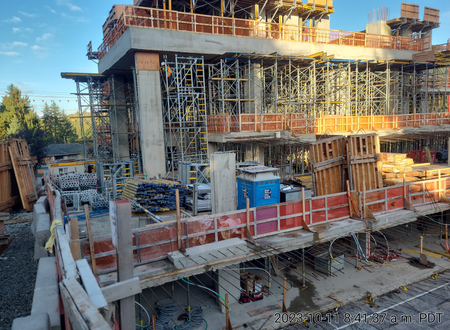 Alina - Coquitlam by New-Firmus Contracting BC Inc.