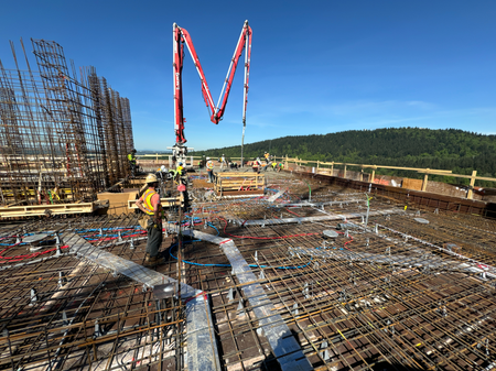 Alina - Coquitlam by New-Firmus Contracting BC Inc.