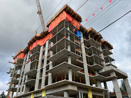 Alina - Coquitlam by New-Firmus Contracting BC Inc.