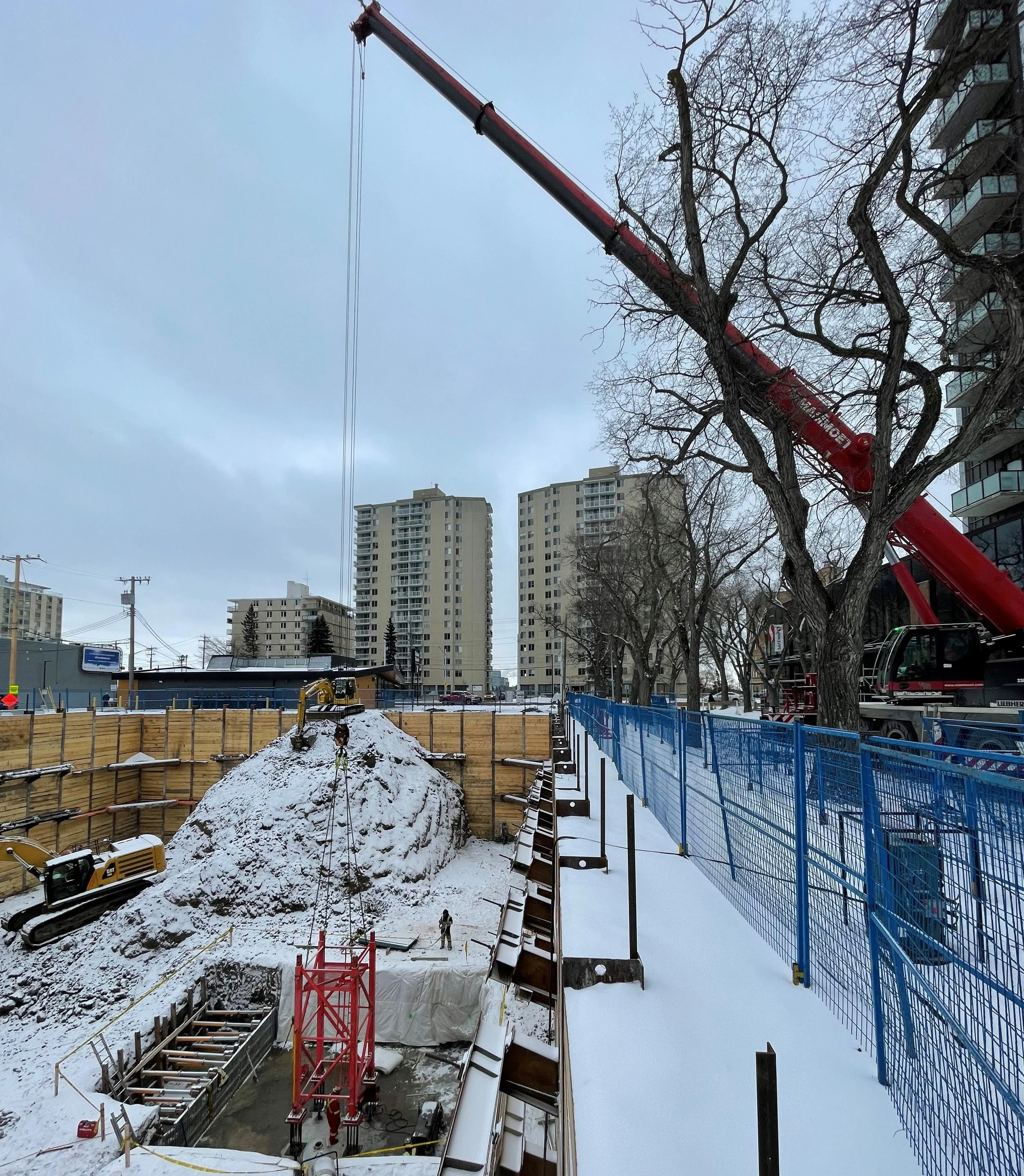 The Hat @ Oliver - Edmonton by New-Firmus Inc.