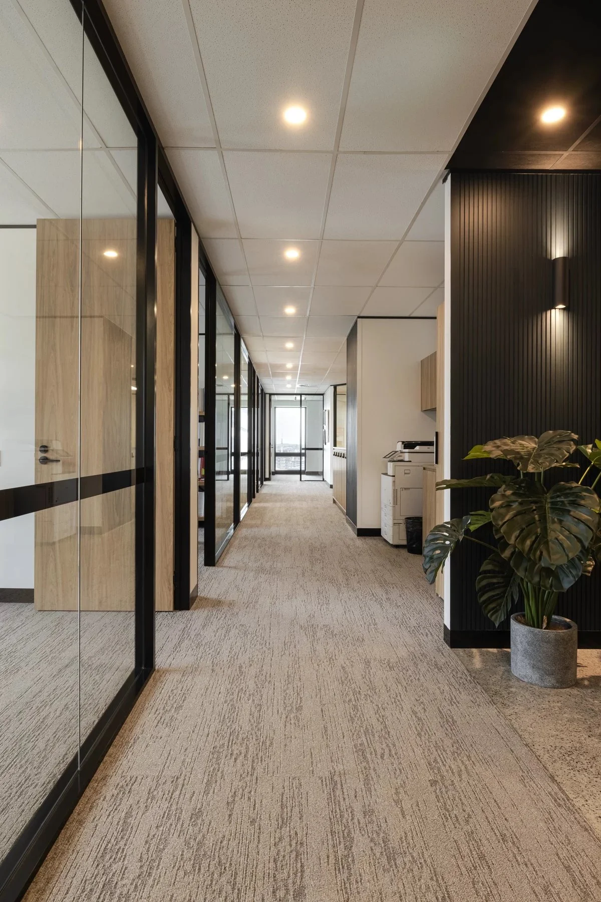 Empty modern office with rows of computer desks, black chairs, a row of windows with white blinds, and a potted plant by the window.