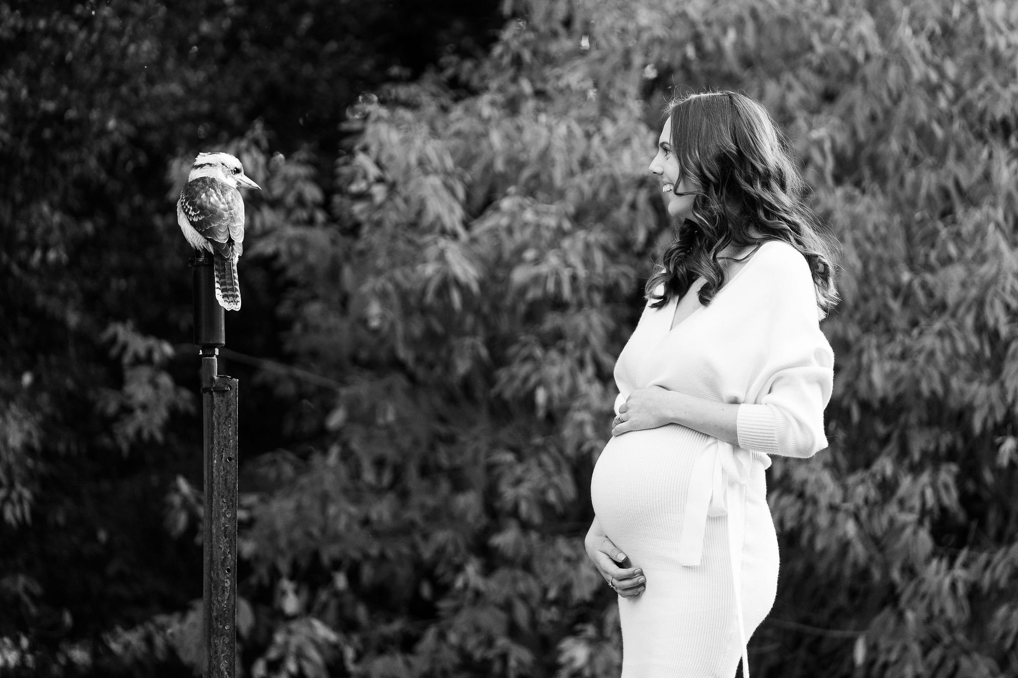 maternity_photos_noosa_botanical_gardens-17.jpg