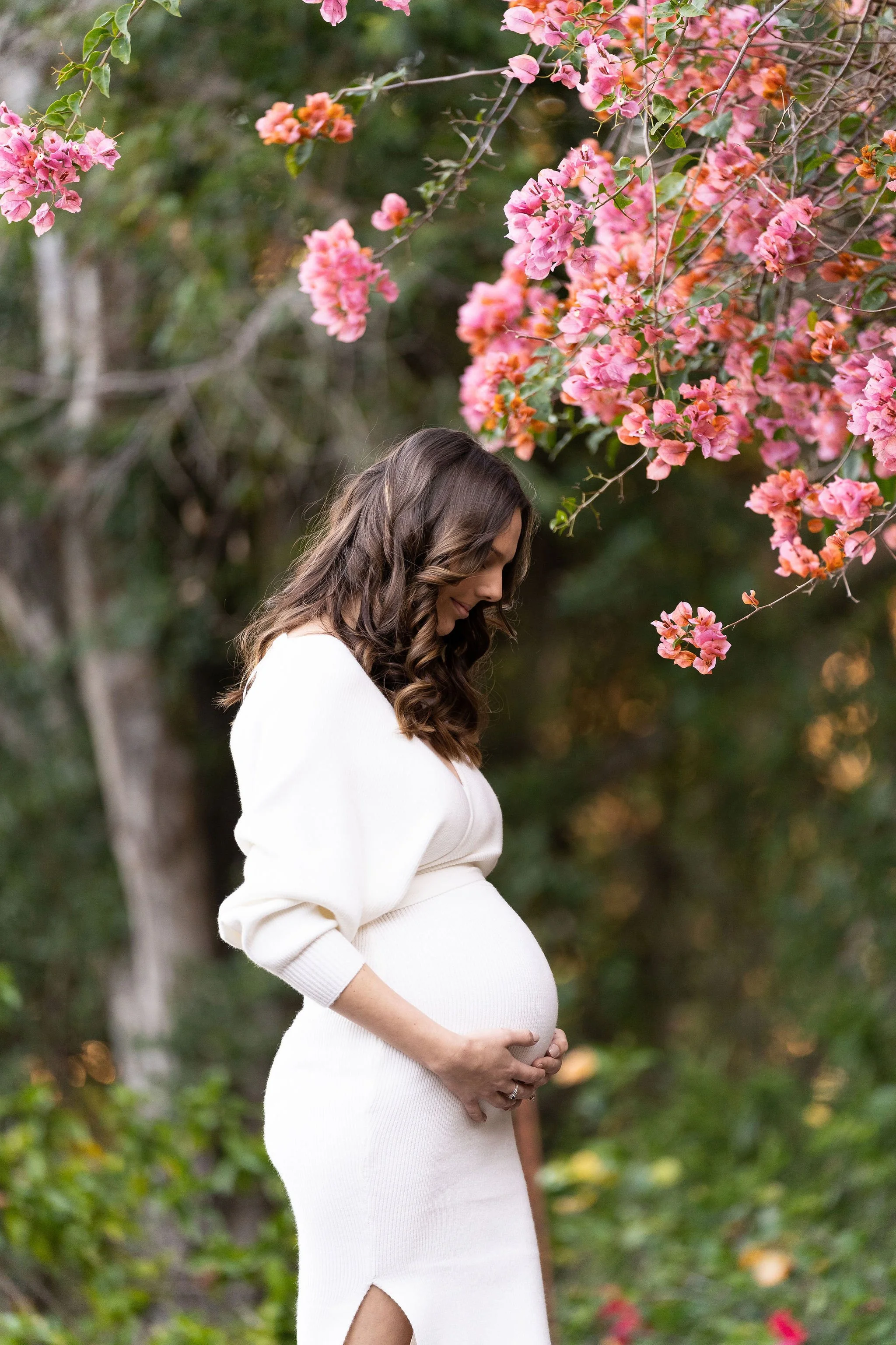 maternity_photos_noosa_botanical_gardens-9.jpg
