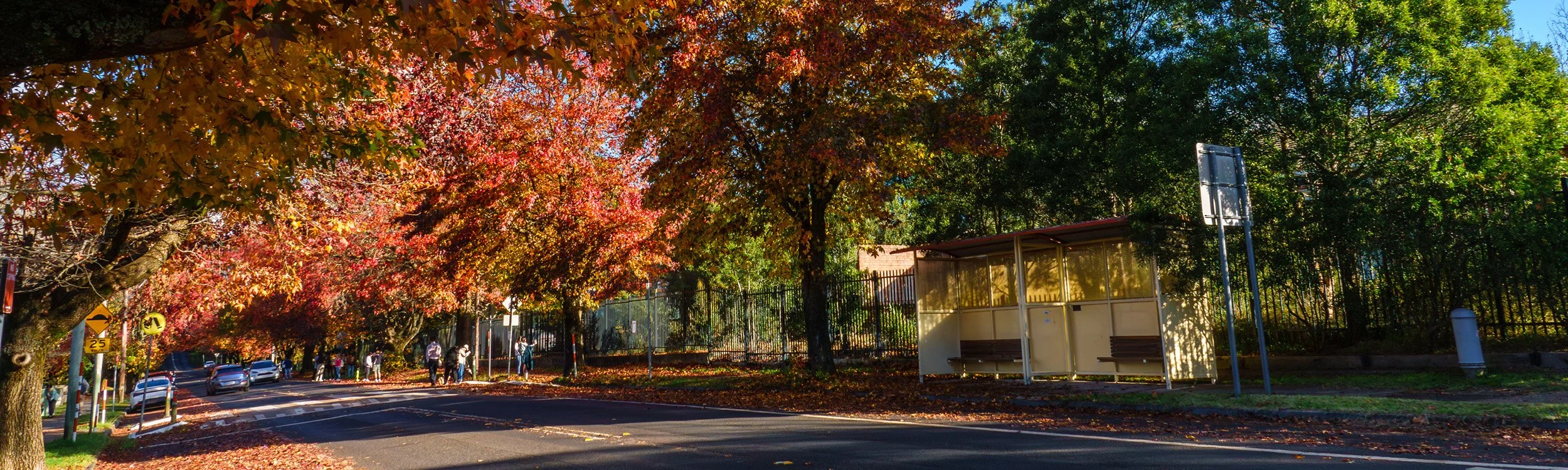 March 2026 Property Market Update: What Wollongong Buyers and Homeowners Need to Know