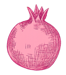 Pink sketch of an onion with a rounded body and a small crown of leaves on top.