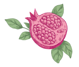 Illustration of a pink pomegranate cut in half with green leaves.