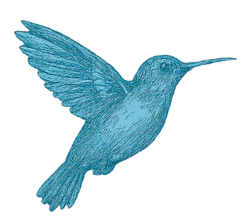 Blue hummingbird with outstretched wings and a long beak