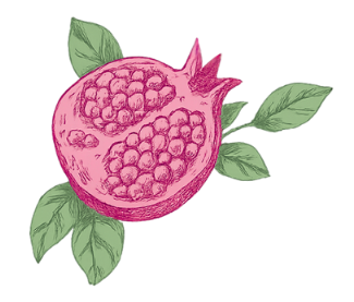 Illustration of a pomegranate fruit split open with green leaves surrounding it.