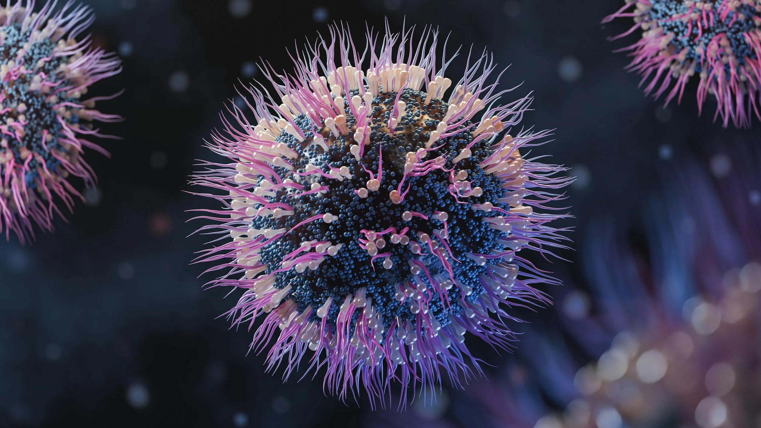 CDC Level 3 Hantavirus Response: What Hawaii Travelers Should Know