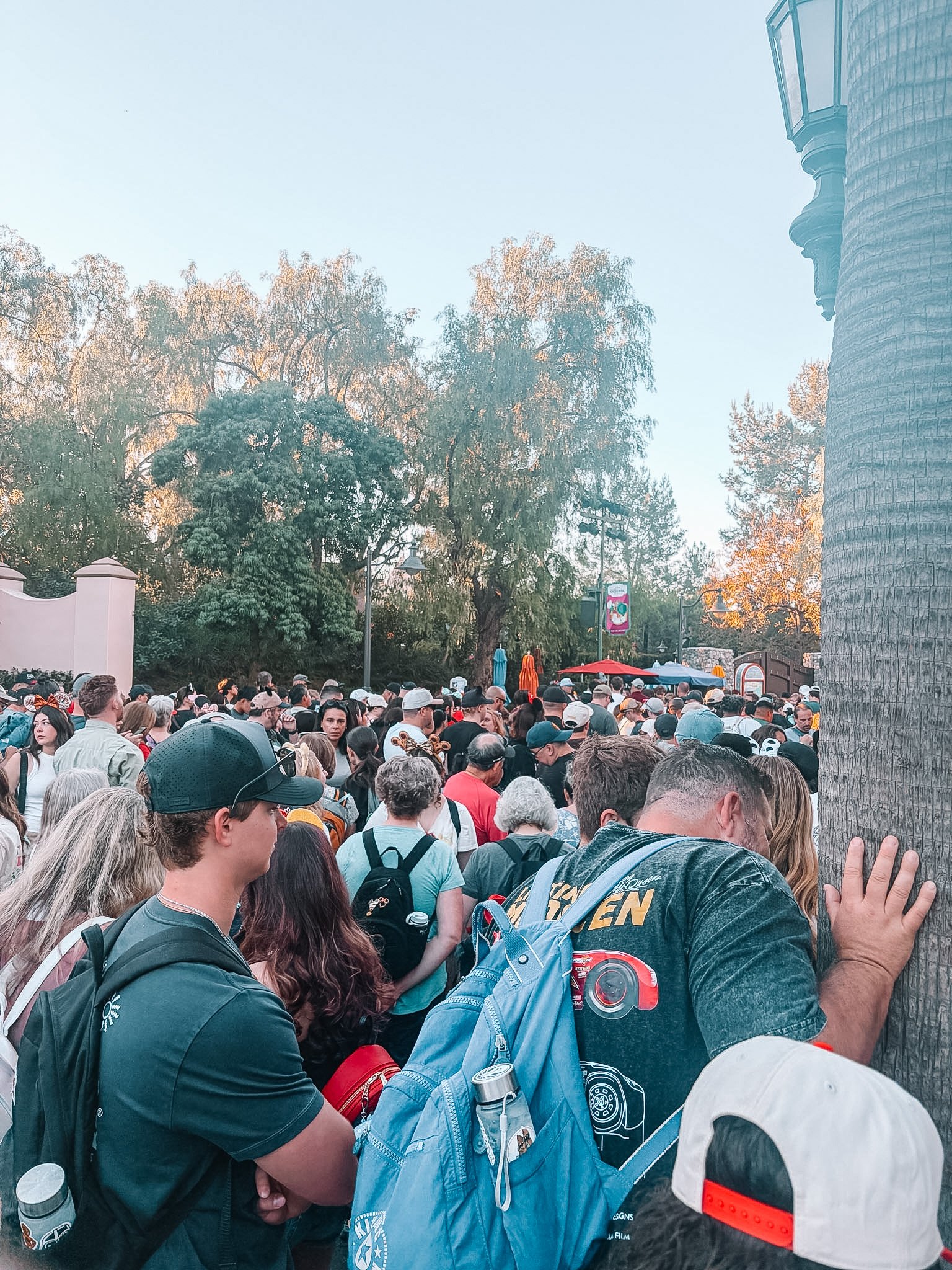 Disneyland Crowd Calendars Are Broken: What Hawaii Families Should Do