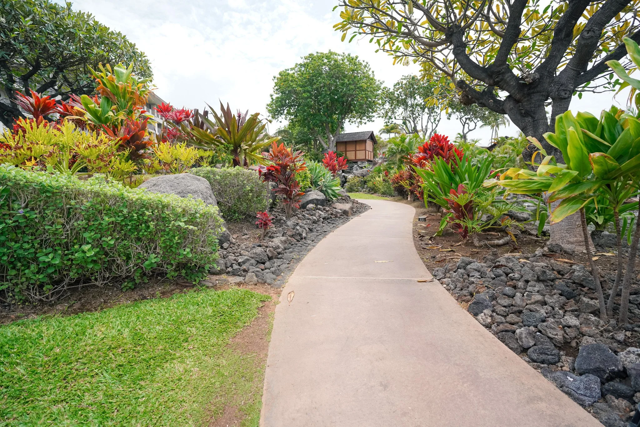 Tropical garden walking path at the Fairmont Orchid with lava rock borders and colorful ti plants