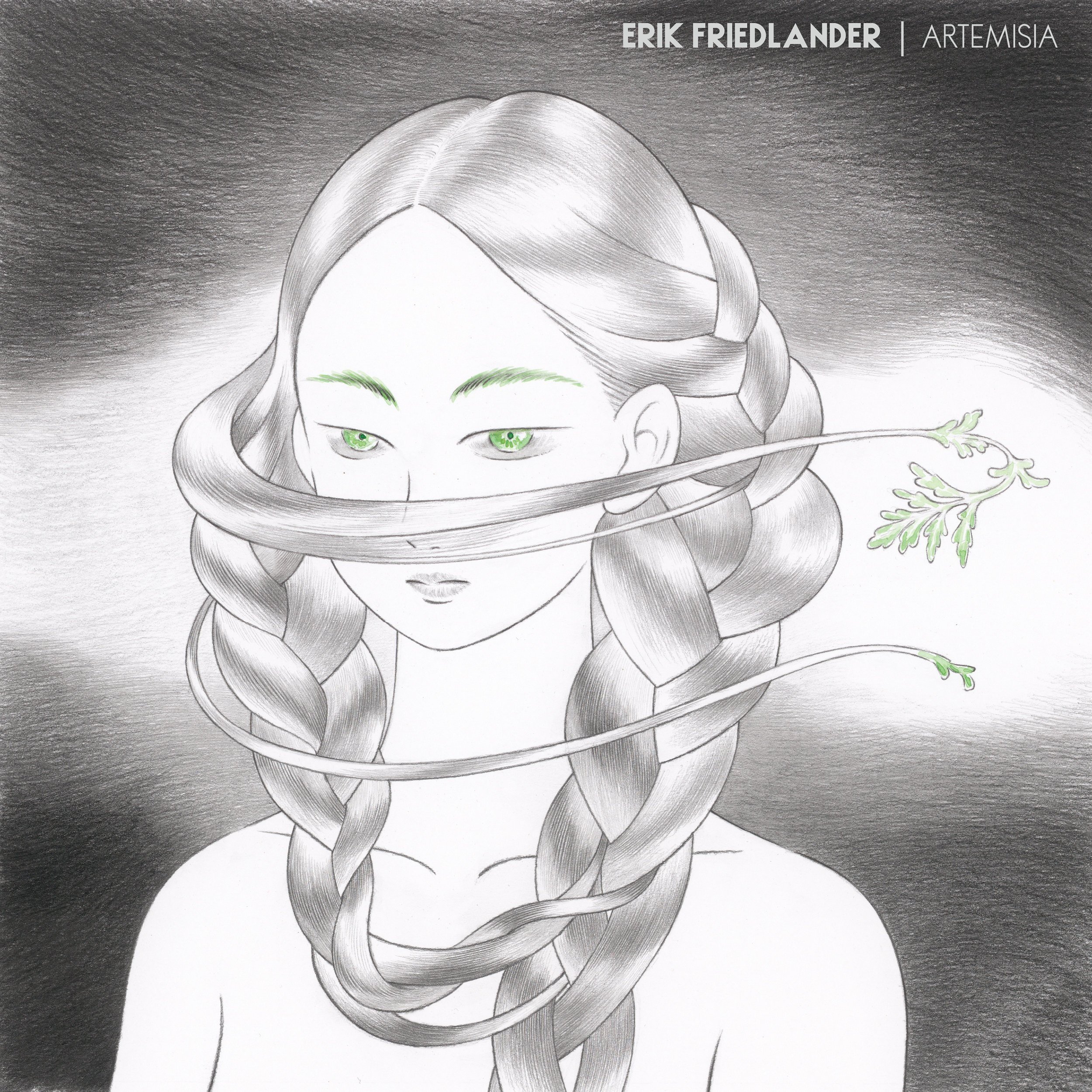 Artemisia_Slipcase_FrontCover.jpg