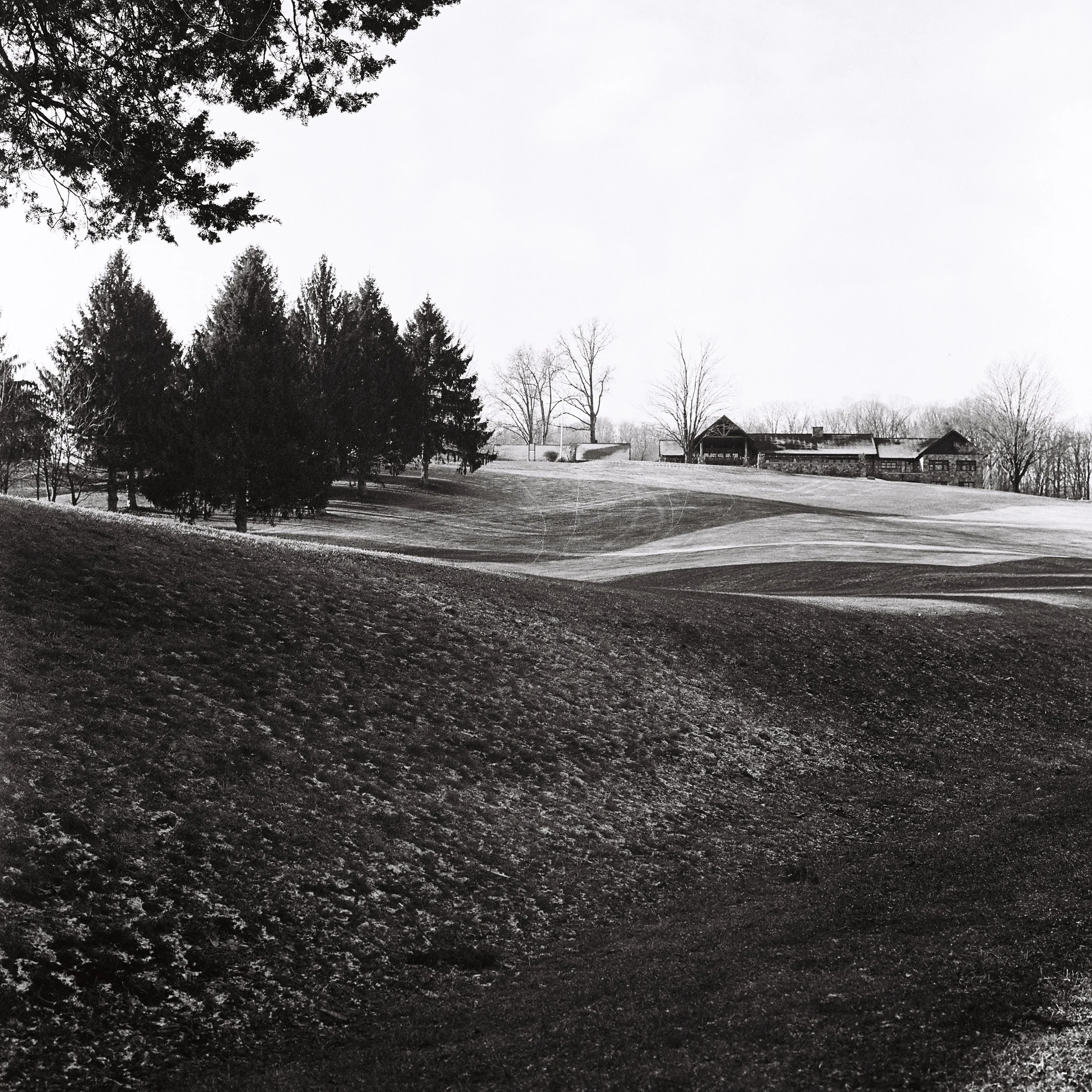 Black and white photo of a grassy landscape with trees and a house in the background.