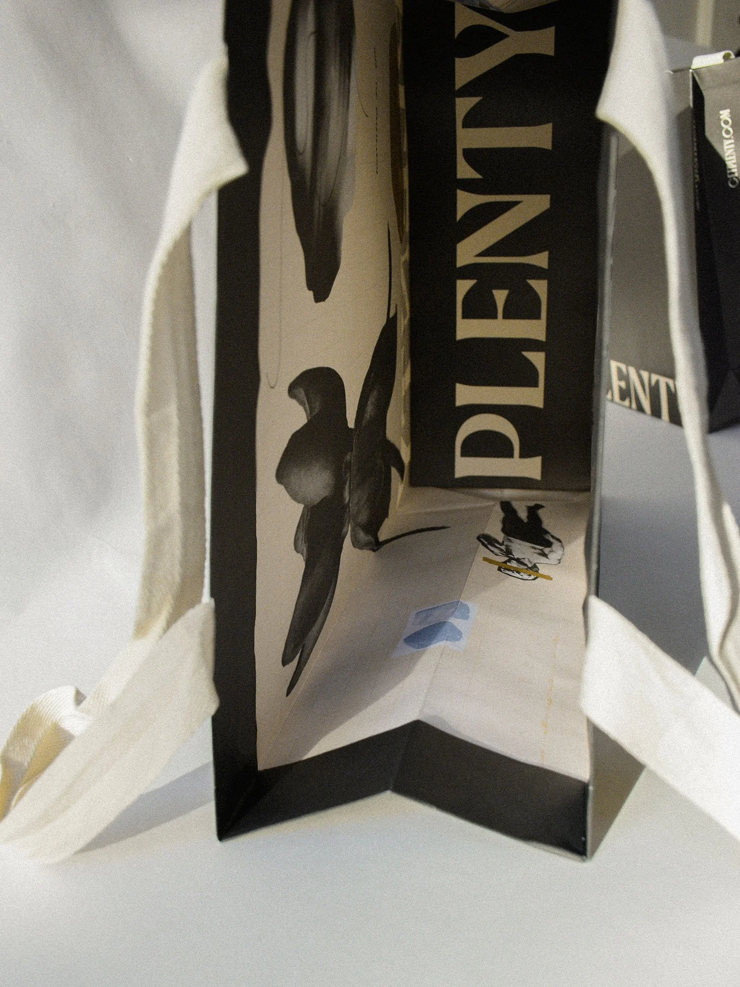 View inside a printed paper shopping bag with handles, showing a collage of abstract shapes and floral cutout images on a light cream background and a bottom panel that is black with 'PLENTY' in bold white letters.