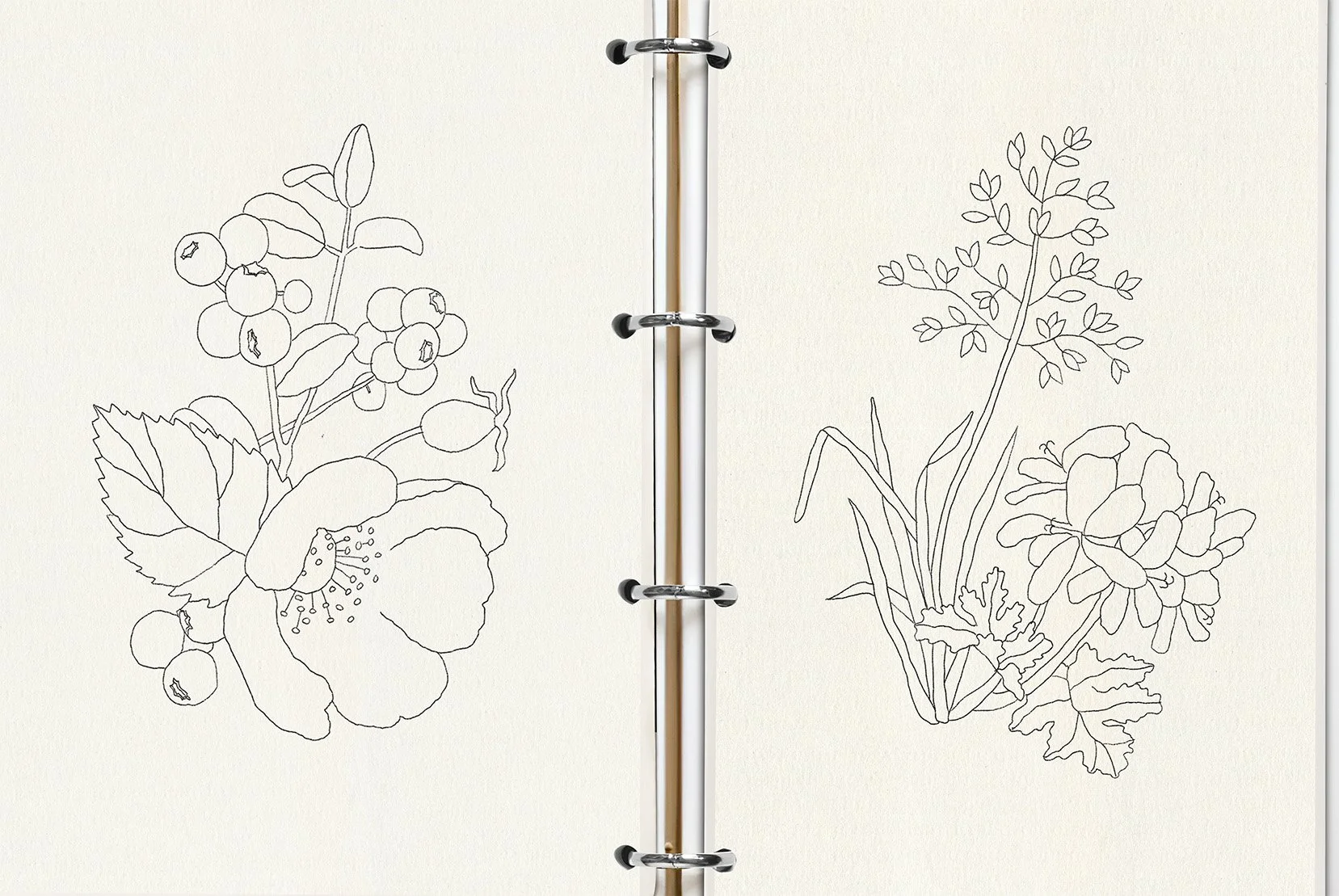 Open notebook with black line sketches of flowers and plants on both pages.