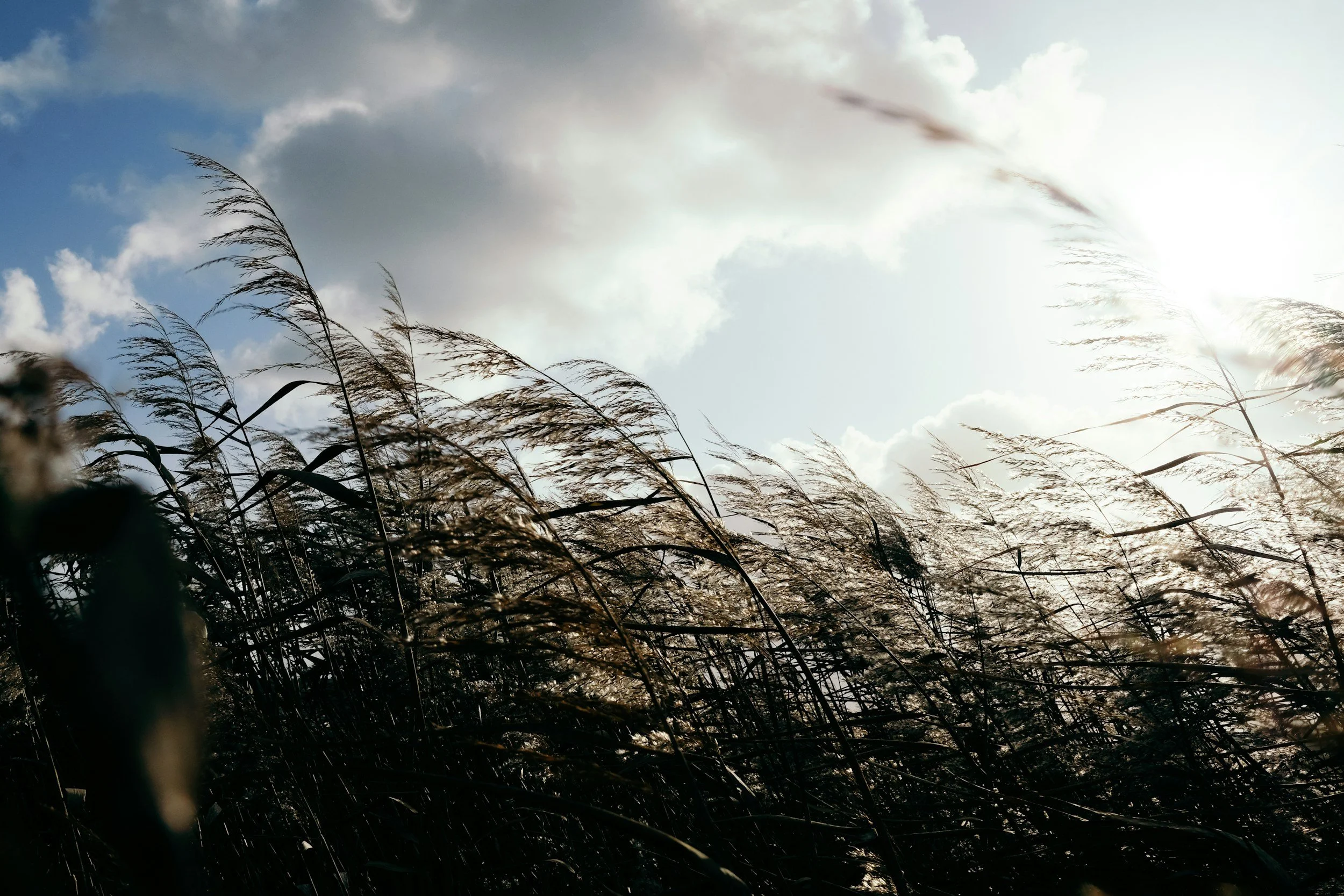 unsplash-image-BvT3CaaemAs.jpg