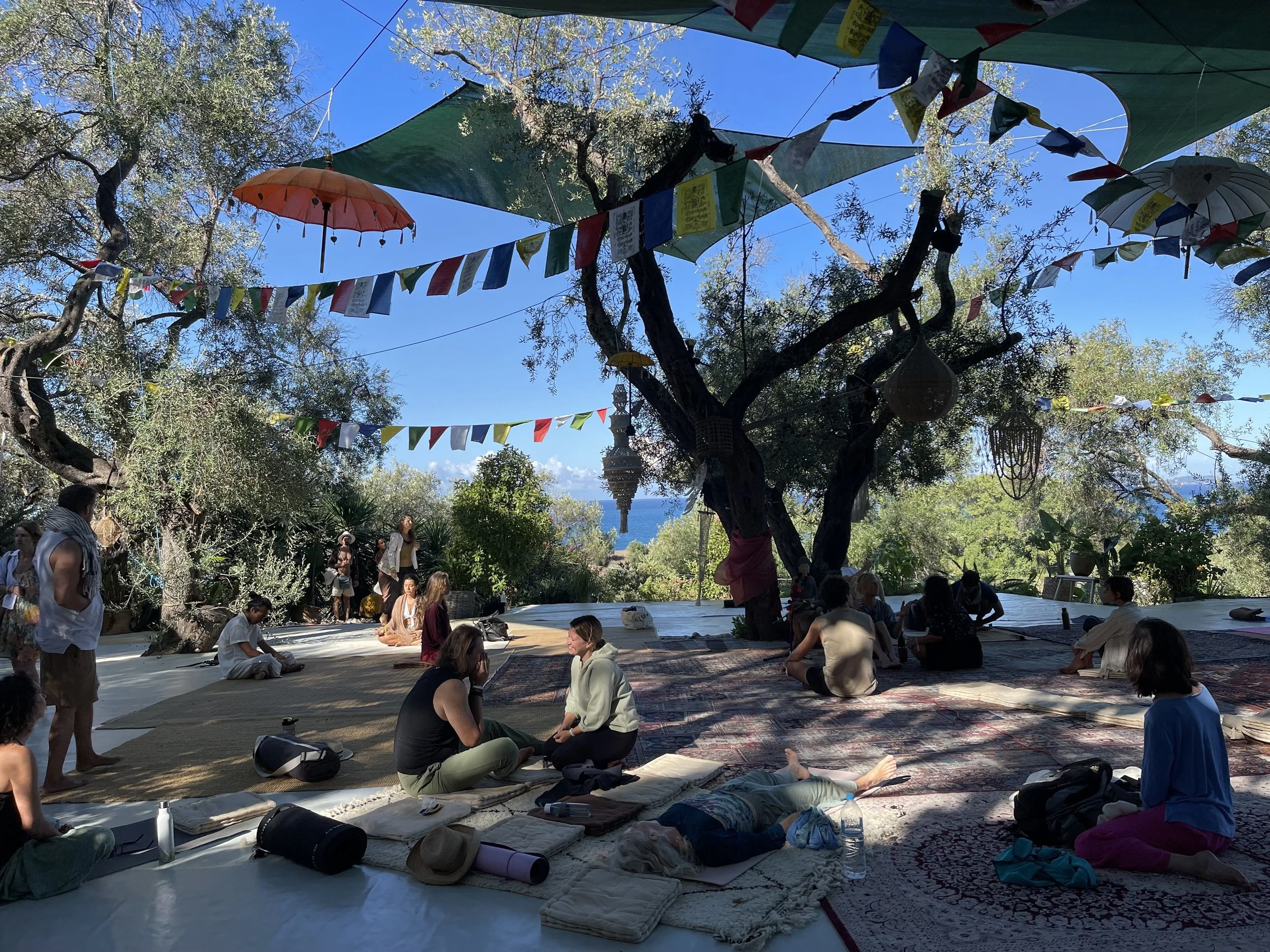 Gaiatree session.jpg