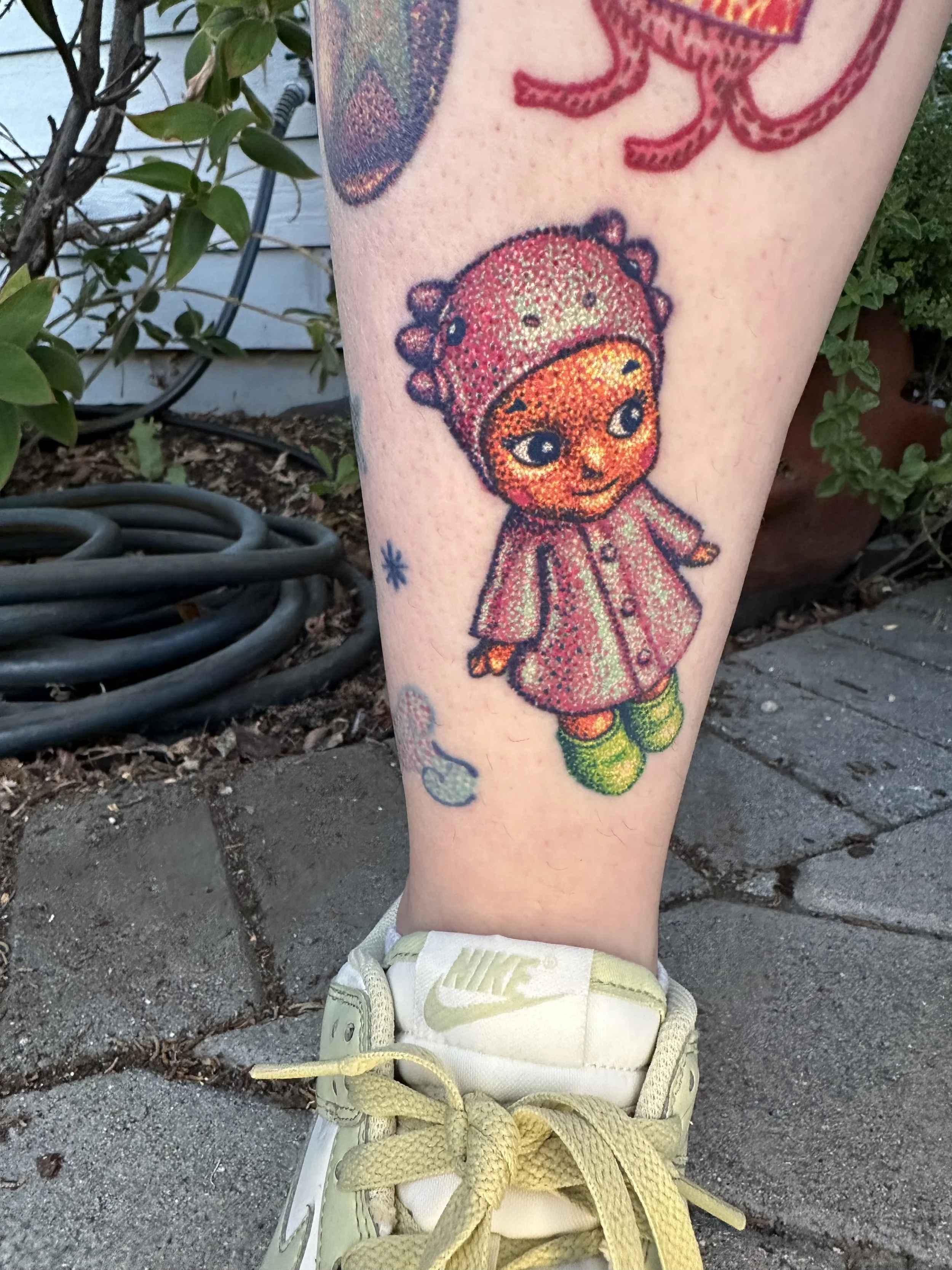 6 montths healed
