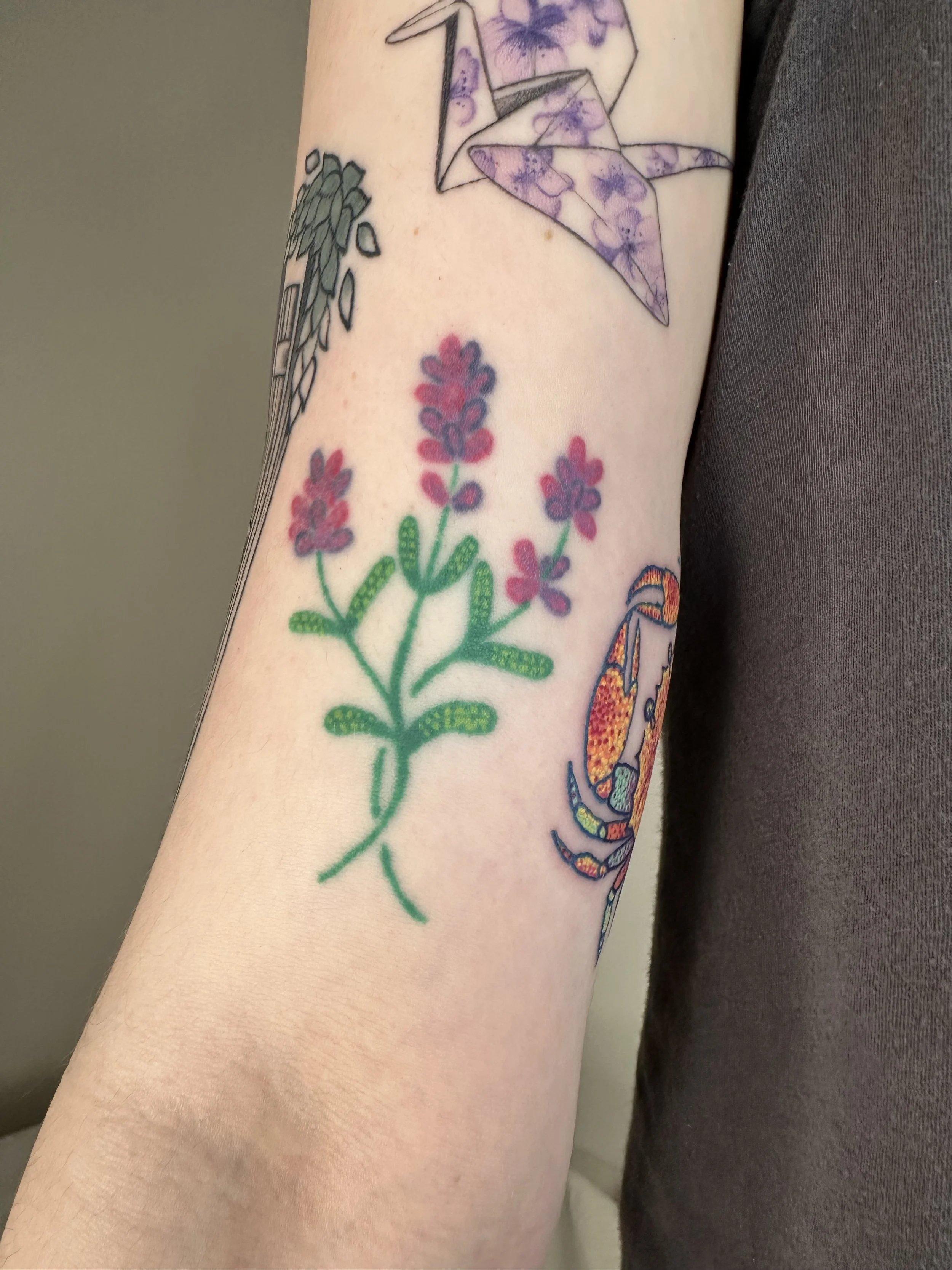 2+ years healed