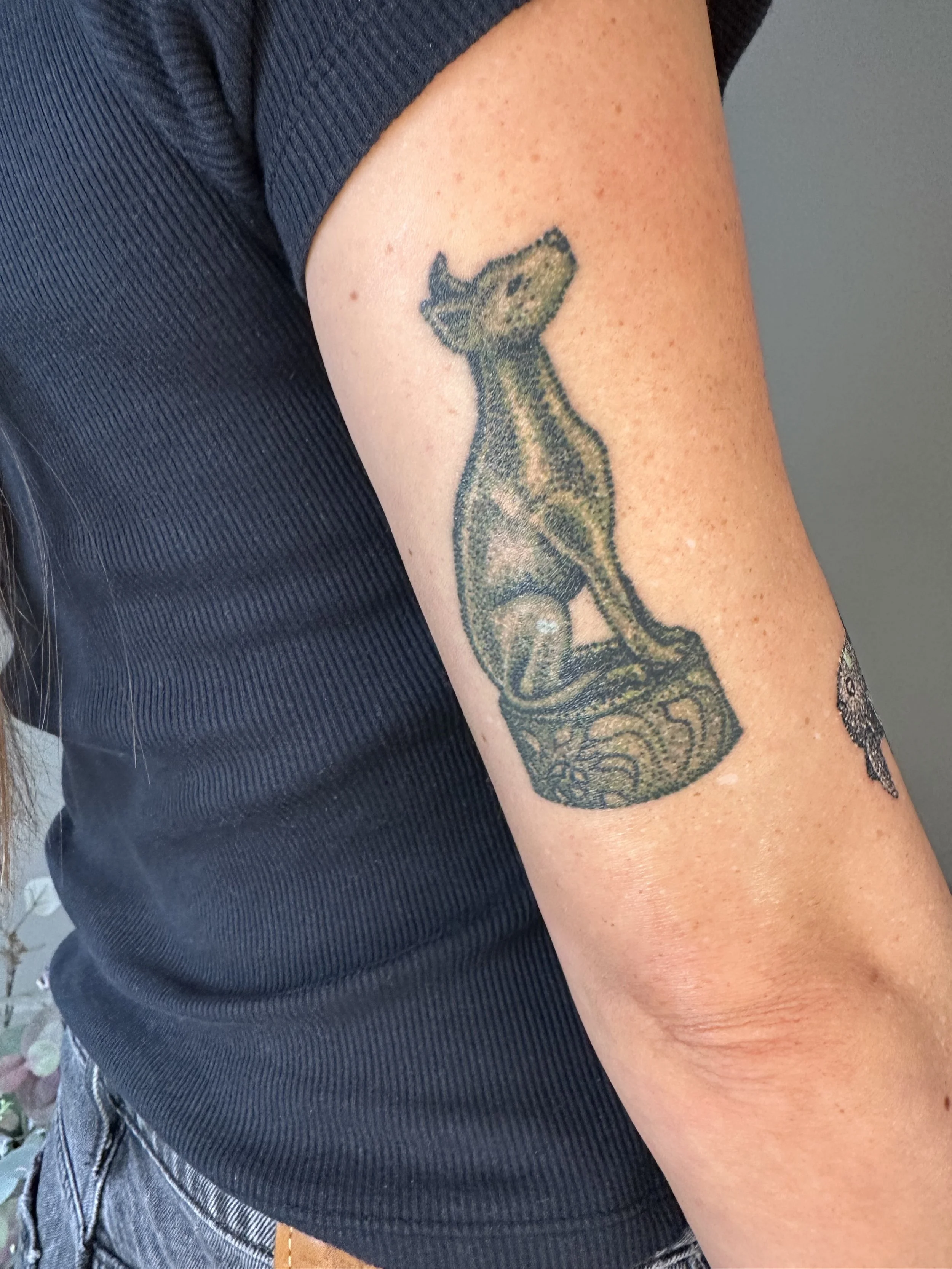 1 year healed