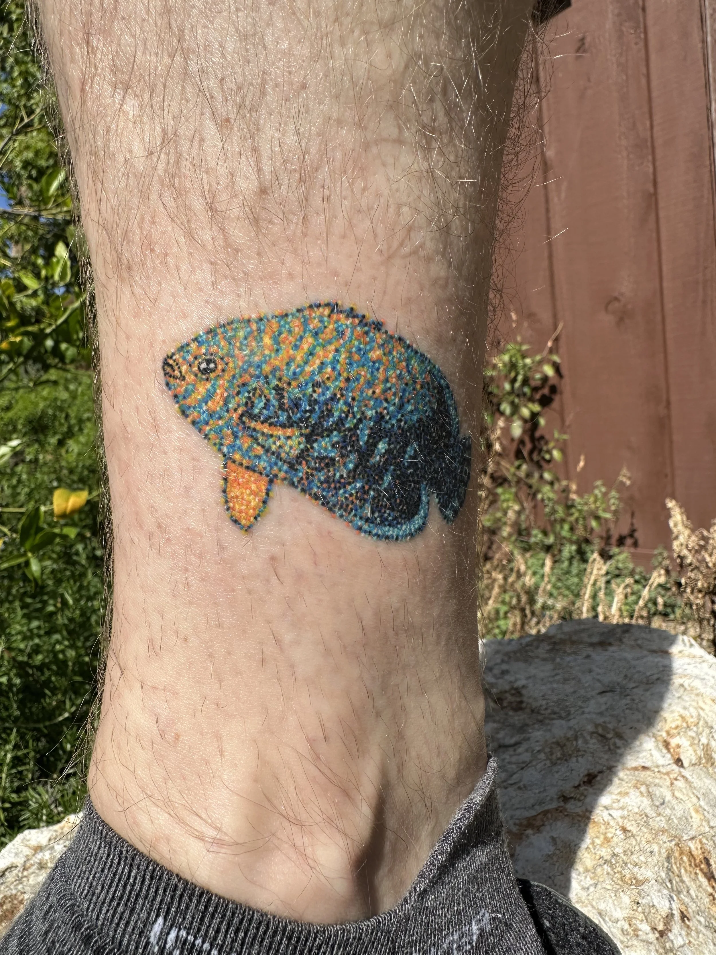 Healed 2 weeks