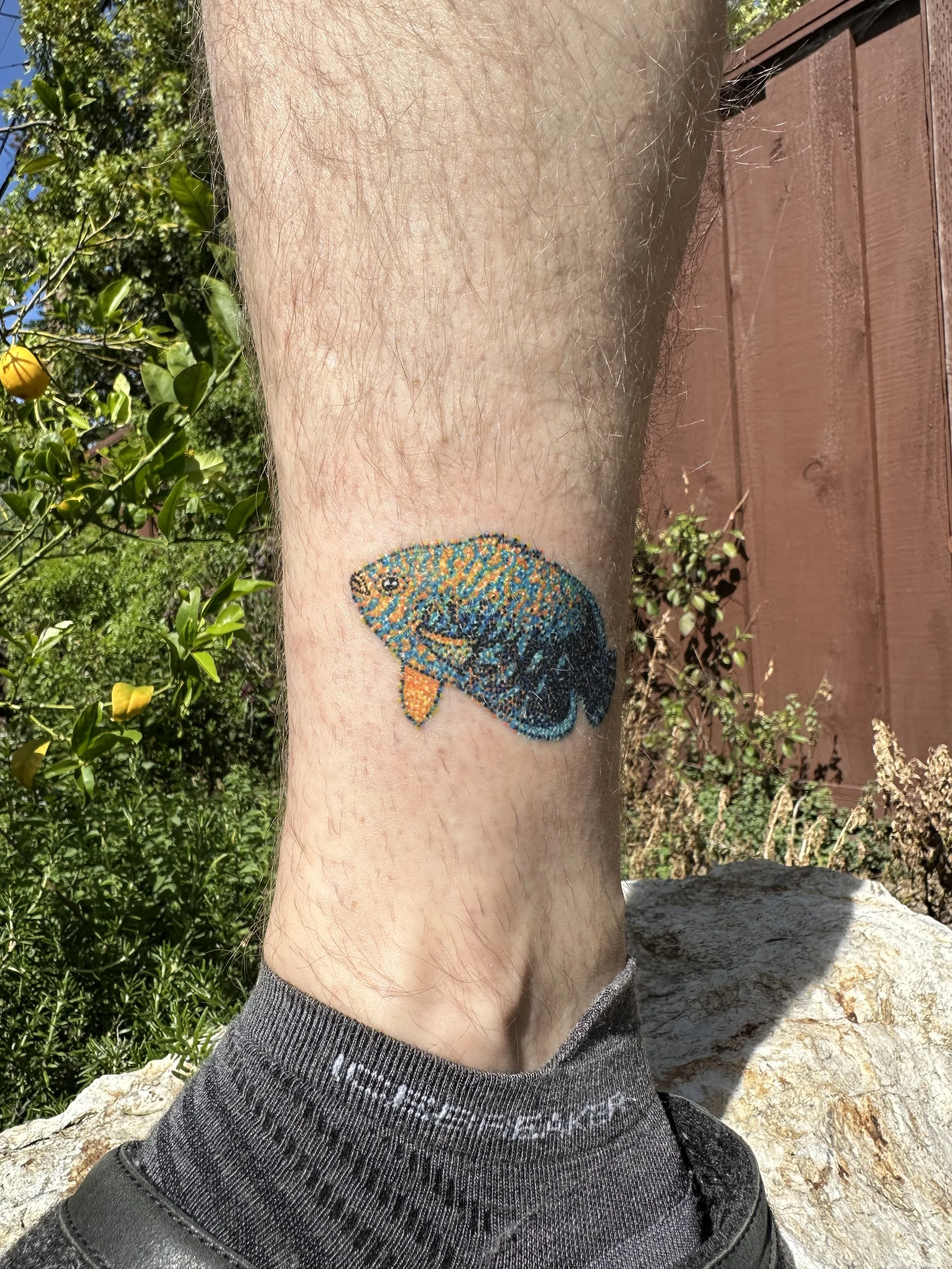 Healed 2 weeks