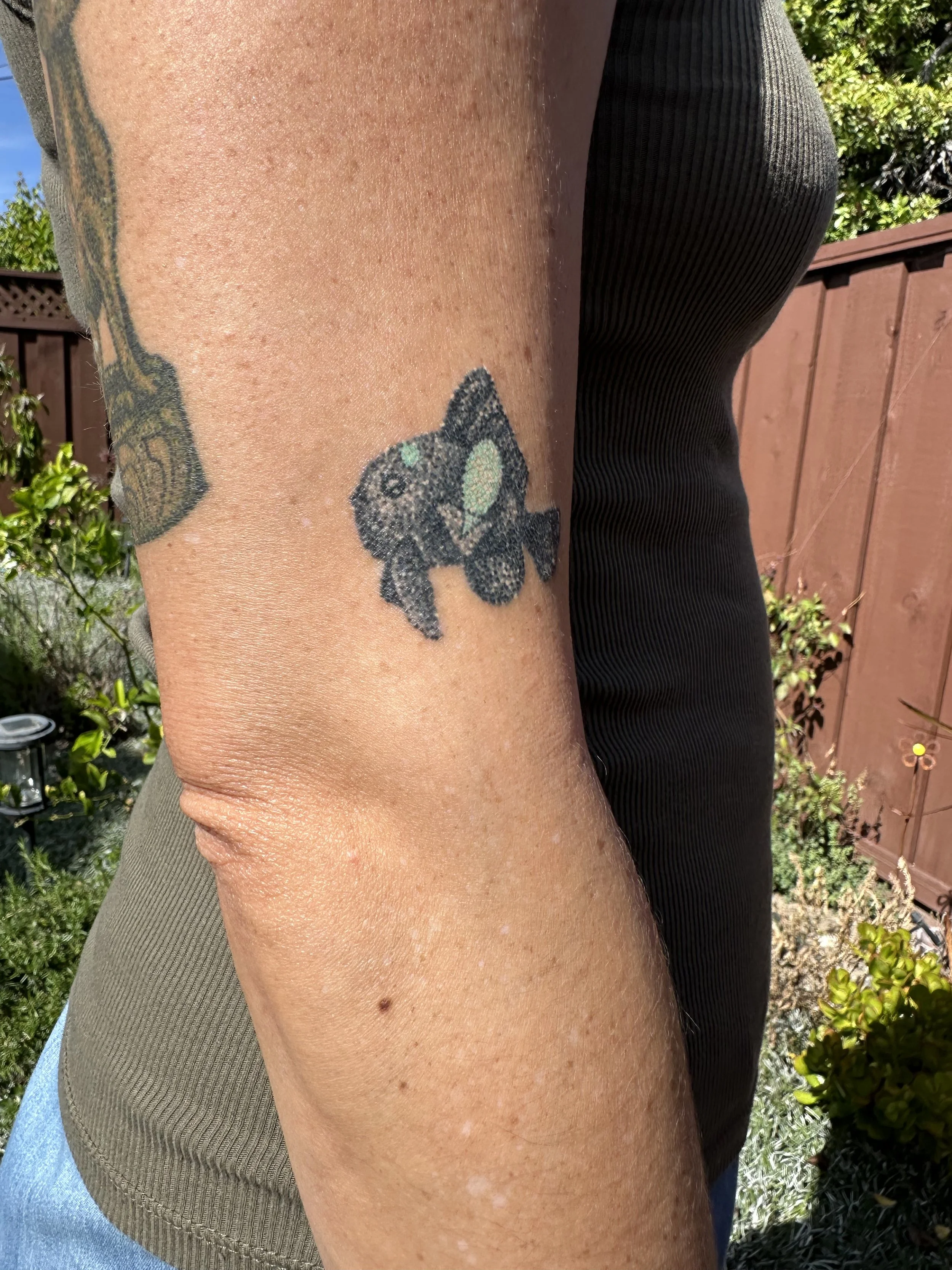 Healed 2 weeks