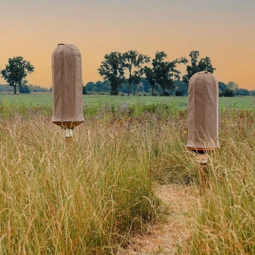 HIIVE, Sustainable beehive