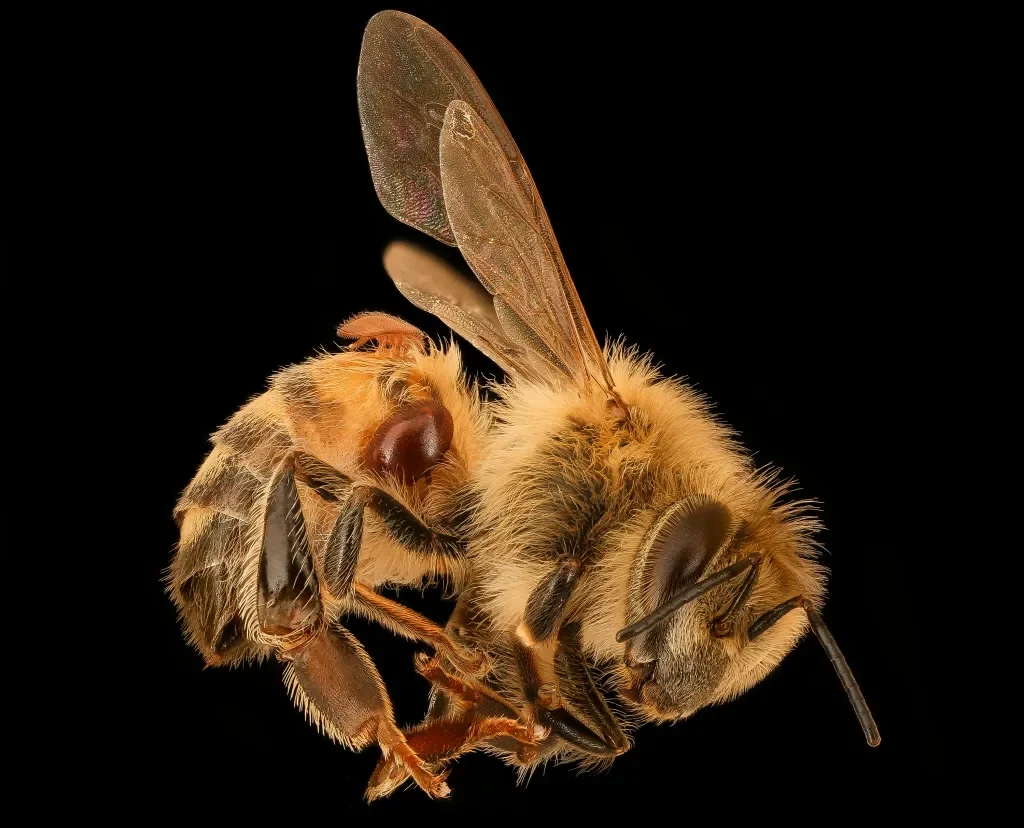 October in your HIIVE