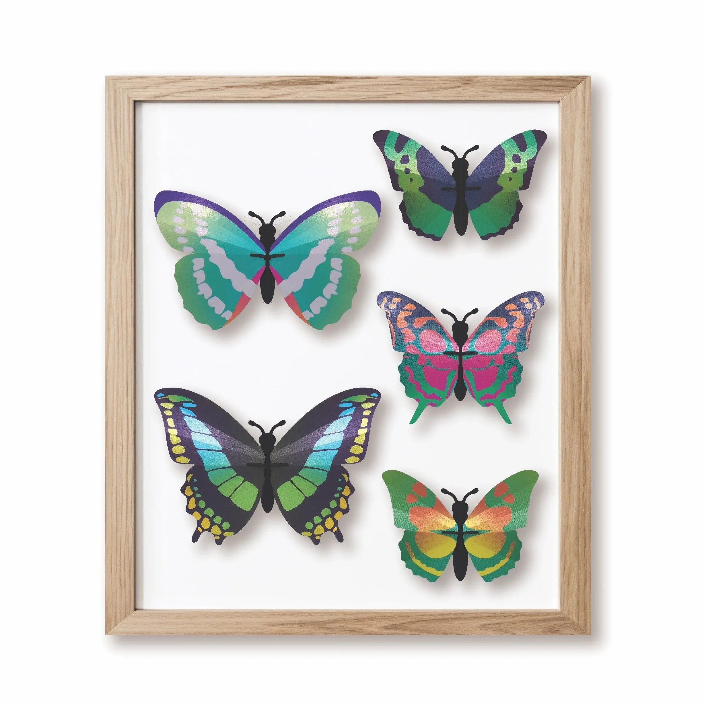 Assembli+Butterfly+Set+green+frame+wikkel.jpg
