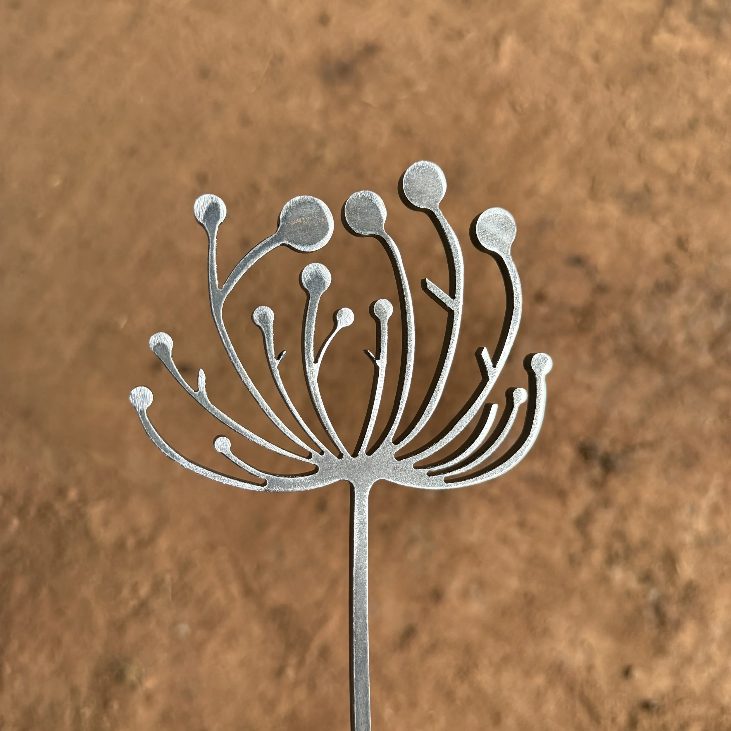 Large Dandelion2.jpg