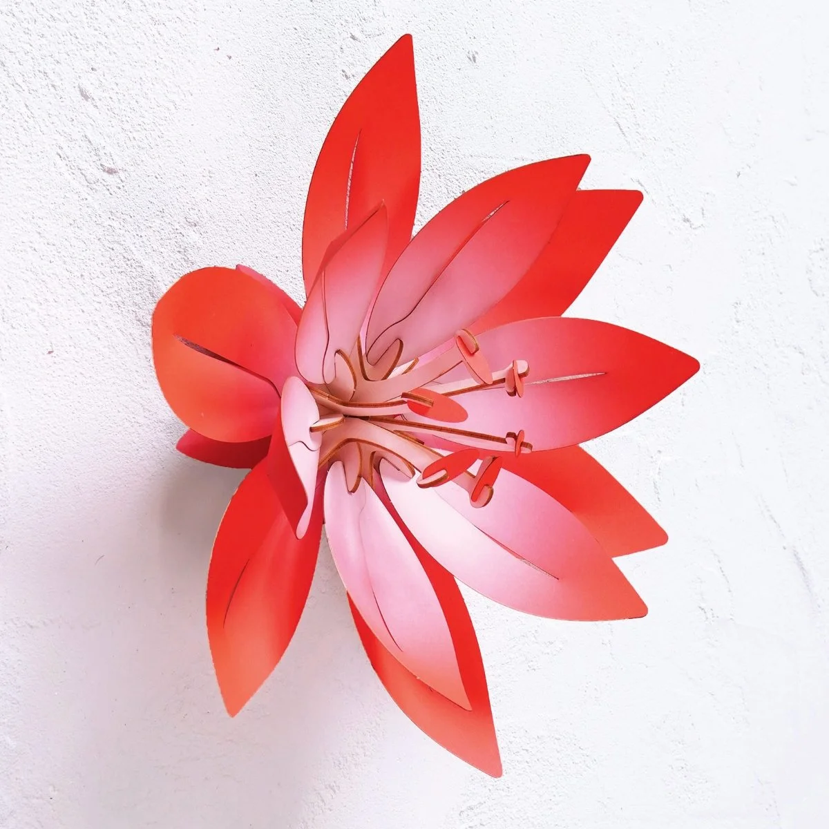 Assembli Wall Flower orange square.jpeg