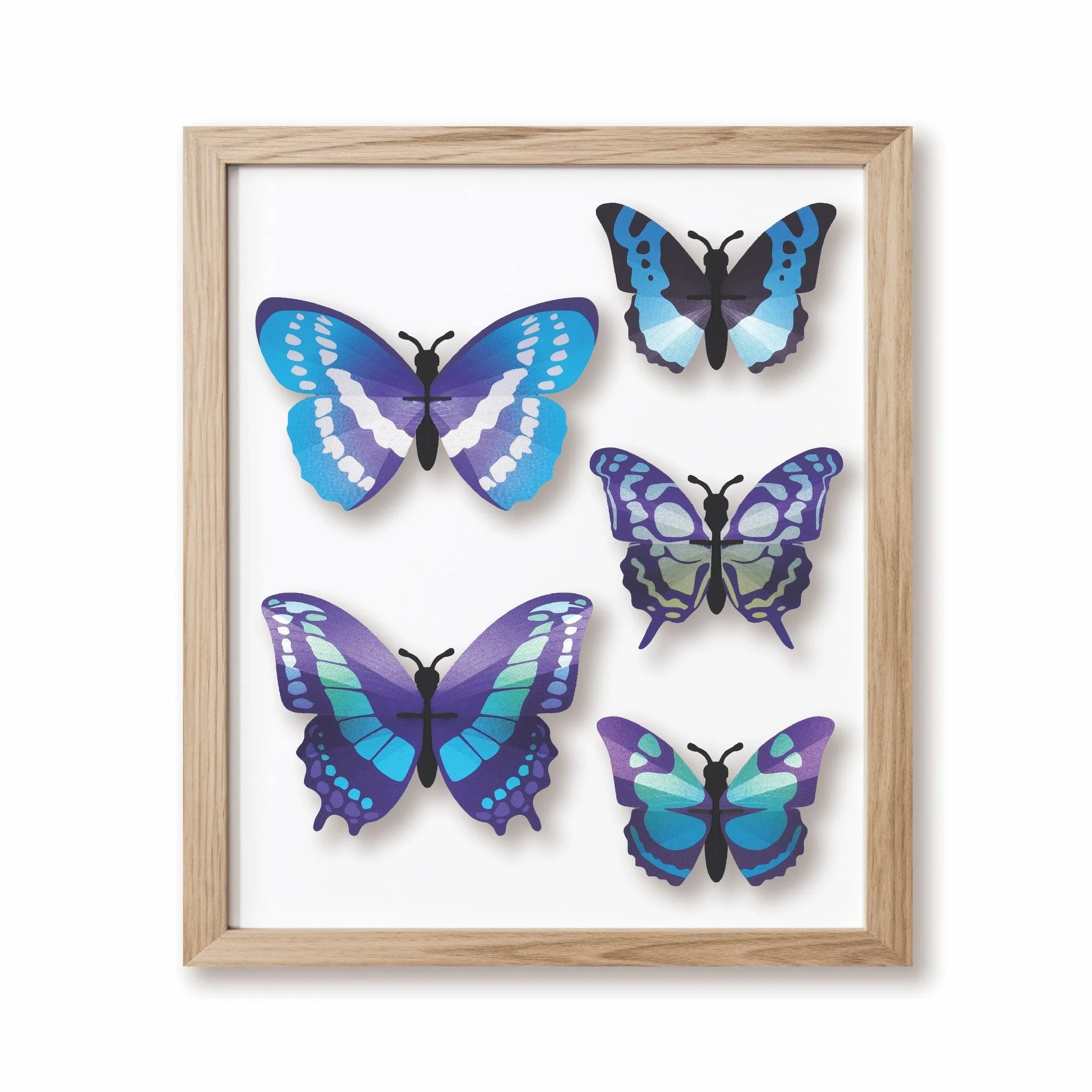 Assembli+Butterfly+Set+blue+frame+wikkel.jpg