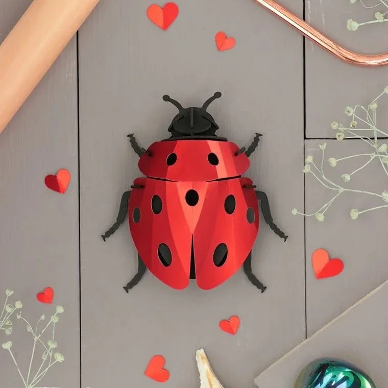 Assembli-ladybug-low.jpg